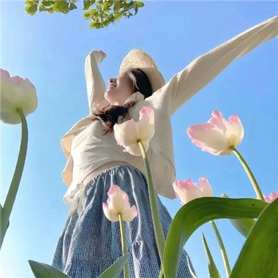 风暴之乡的苔丝